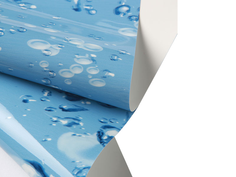 Album in dorso, PVC laquearia caerulea 18